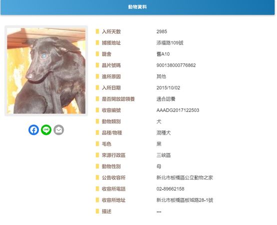 ▲▼收容所待6年和8年！兩汪剩彼此失落縮角落　等家到嘴角白了。（圖／翻攝自全國動物收容管理系統）