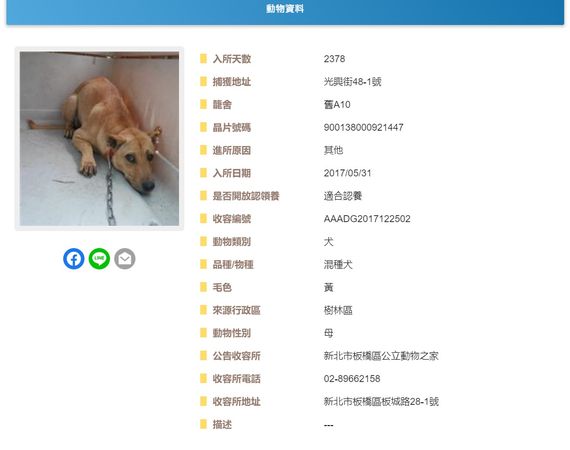 ▲▼收容所待6年和8年！兩汪剩彼此失落縮角落　等家到嘴角白了。（圖／翻攝自全國動物收容管理系統）