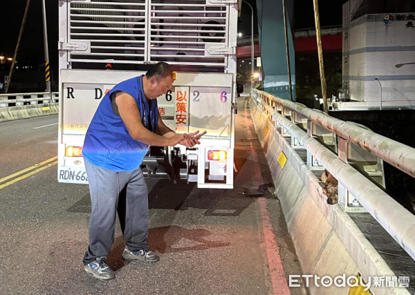 d7380000 ▲嚇壞了!「虎斑狗發抖」縮在汐止交流道橋上 他開車路過急找救援(圖/網友比比先生提供,請勿隨意翻拍,以免侵權。)
