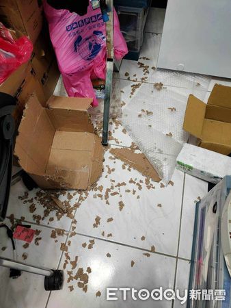 ▲▼2狂貓「變身碎紙機」幫忙開箱！　媽見傷亡名單心累：求料理方式。（圖／飼主陳小姐提供）
