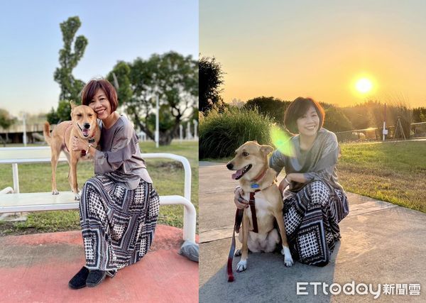 ▲▼米克斯犬「吉祥」。（圖／飼主劉芝庭提供）
