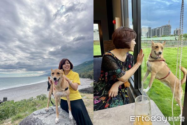 ▲▼米克斯犬「吉祥」。（圖／飼主劉芝庭提供）