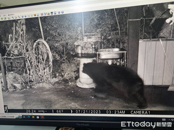 ▲廬山部落居民於賽德克族四村共管會上獲頒黑熊生態給付獎勵。（圖／林業保育署南投分署提供）