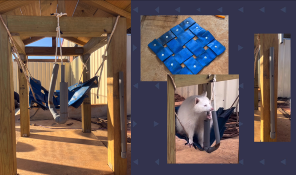 ▲▼動物行為豐富化設施設計大賽作品。（圖／台北市立動物園提供）