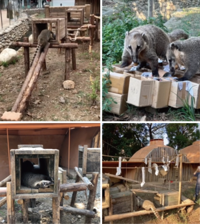 ▲▼動物行為豐富化設施設計大賽作品。（圖／台北市立動物園提供）