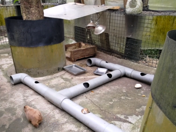 ▲▼動物行為豐富化設施設計大賽作品。（圖／台北市立動物園提供）