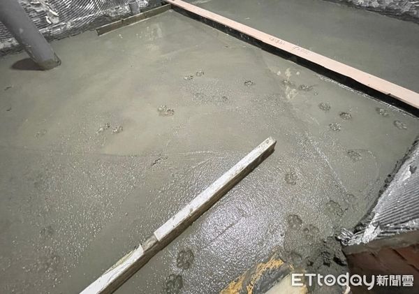 ▲水泥還沒乾浮出肉球印「兇手被抓來比對」　過來人笑噴：這攤歹賺。（圖／飼主林姿余提供）