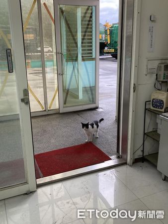 d7393347 ▲▼以為有客人!自動門一開「出現一台賓士」 店員笑:來討債的。(圖/網友提供)