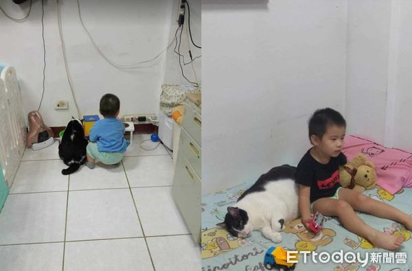 ▲兒時流浪瘦弱…收編後壯成「驚人賓士豬」　媽嚇：跟1歲小孩差不多（圖／網友Cindy Lee提供，請勿隨意翻拍，以免侵權。）