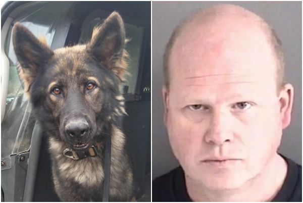 d7397109 ▲▼美國愛荷華州副警長將警犬關在車上22小時,導致警犬喪生。(圖/翻攝自Facebook/BooneCountySO)