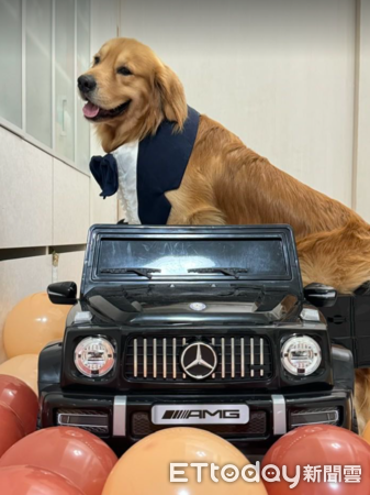 ▲圓夢了！阿金「得意臉坐電動車」巷弄兜風　媽曝：去夜市都拉不走　（圖／網友王子勻提供，請勿隨意翻拍，以免侵權。）