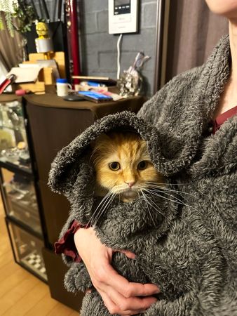 ▲▼開暖氣太浪費錢　老婆「把貓包軌」拿來當熱敷袋溫暖全身。（圖／翻攝自Twitter@NEKOLAND13）