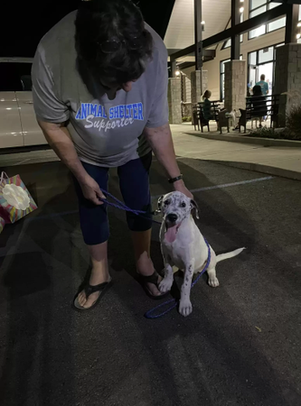 ▲▼流浪犬鄧肯(Duncan)。（圖／翻攝自Facebook@Friends of Marshall Animals）