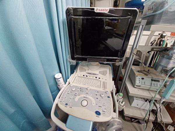 ▲▼7歲過後毛孩心臟病機率提升　把握「3重點」每半年健檢護健康。（圖／新北市動保處提供）