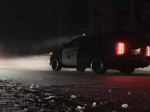 ▲▼美國警察巡邏時，意外得到和貓頭鷹的合照。（圖／翻攝自Facebook@CHP - South Lake Tahoe）