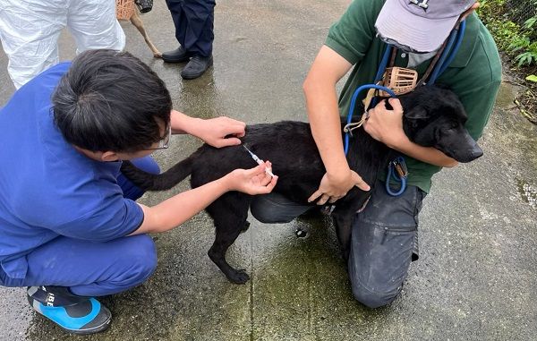 ▲▼氣溫驟降犬貓呼吸道疾病好發　動物之家加強環境清消護毛孩。（圖／新北市動保處提供）