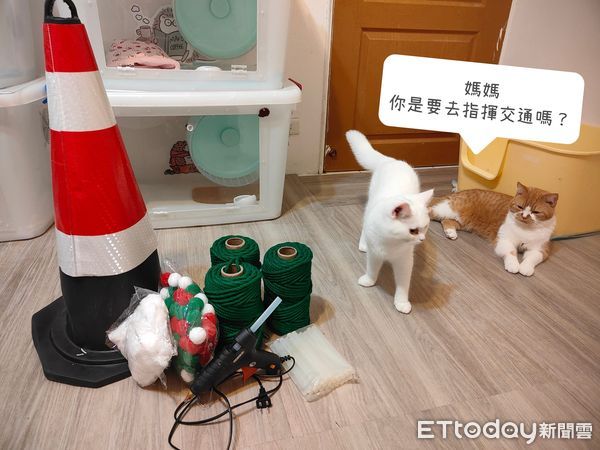▲▼提前過聖誕！貓奴巧手做「百元聖誕貓窩」　超強手工驚豔千人。（圖／吳美花是隻貓粉專授權提供）