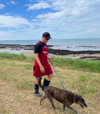 ▲▼淡水動物之家多了國際化志工團　帶犬隻出籠散步曬太陽幫親訓。（圖／新北市動保處提供）
