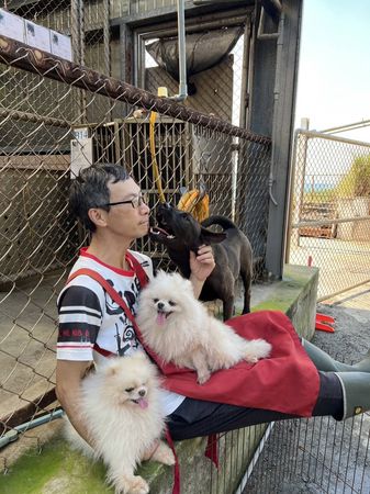 ▲▼淡水動物之家多了國際化志工團　帶犬隻出籠散步曬太陽幫親訓。（圖／新北市動保處提供）