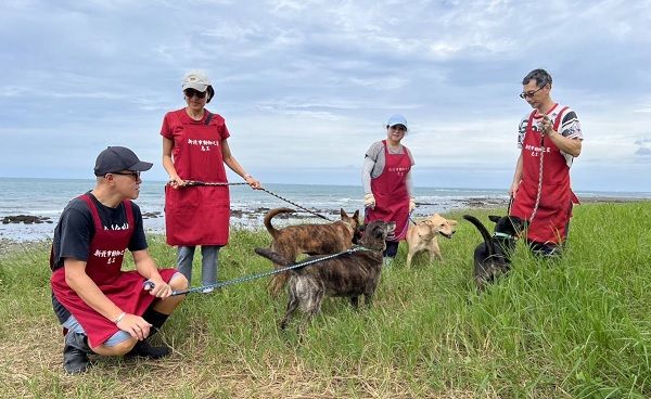 ▲▼淡水動物之家多了國際化志工團　帶犬隻出籠散步曬太陽幫親訓。（圖／新北市動保處提供）