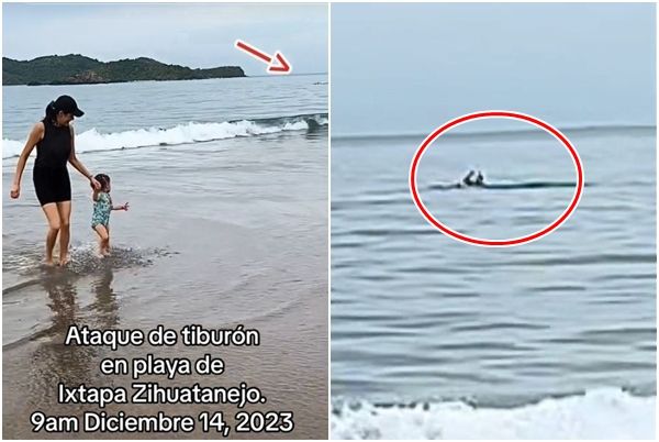 ▲▼墨西哥度假海灘一對母女戲水，卻意外拍到「鯊魚吃人」恐怖瞬間。（圖／翻攝自X、TikTok）