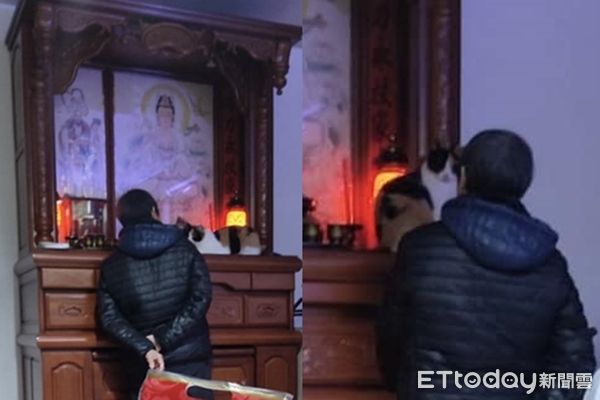 d7416214 ▲喵孫爬上神桌阿嬤猛盯 「寵溺一句話」笑噴家人:誰說不喜歡貓?(圖/網友鄭如玉提供)