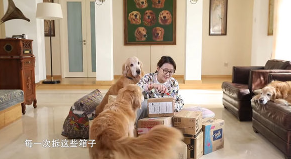 ▲周海媚把愛犬當家。（圖／翻攝自YouTube／周海媚）