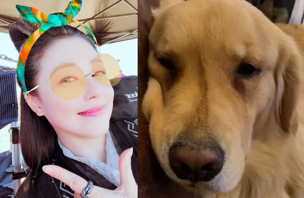 ▲周海媚愛犬「周六六」想媽媽，眼眶濕濕的。（圖／翻攝金毛周六六抖音）