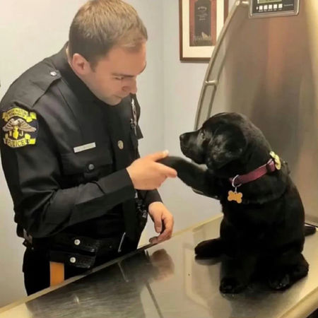 d7417317 小警犬與警員。(圖/翻攝自微博)