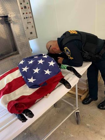d7417321 警犬King。(圖/翻攝自Chris Duhon臉書)