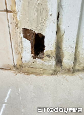 d7418212 ▲咬破1個大洞!鵝被阿嬤罵「跑去鏡子面壁」 近看笑翻:根本在睡(圖/網友楊勻嫚提供,請勿隨意翻拍,以免侵權。)