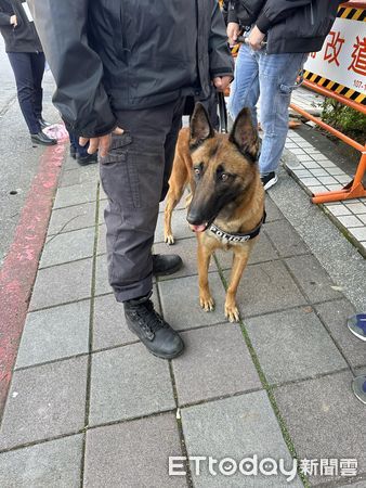 ▲▼總統政見會再登場！警犬Apple、首領出動巡查　牠上班偷皺眉萌爆。（圖／ETtoday記者提供）