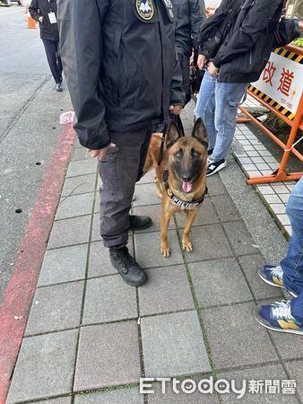 ▲▼總統政見會再登場！警犬Apple、首領出動巡查　牠上班偷皺眉萌爆。（圖／ETtoday記者提供）
