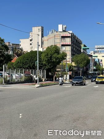 d7421244 巨大貴賓樹。(圖/網友黃豪提供)