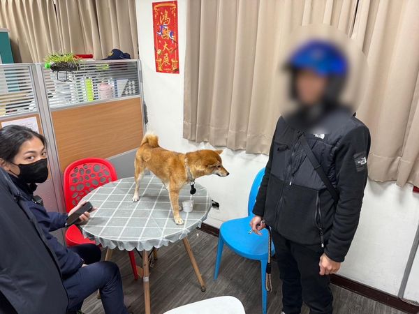 d7422855 ▲小柴犬迷路被送到派出所 聽見熟悉聲音「大喊金金」秒興奮討抱抱。(圖/翻攝自Facebook/基隆警馨雲)