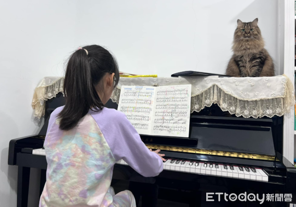 ▲彈錯就糟糕！馬尾妹認真練琴...前方一尊「毛毛家教」嚴肅臉在聽（圖／粉專「哈尼vs瑪妮」提供，請勿隨意翻拍，以免侵權。）