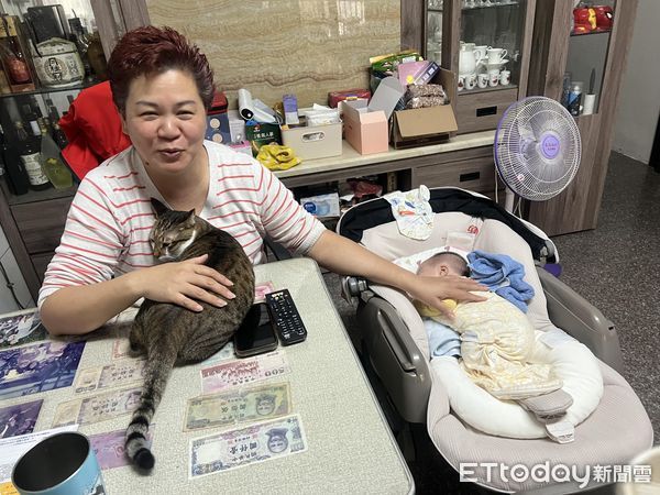 d7425532 ▲▼目睹阿嬤抱小寶寶!喵金孫走心了「氣到轉身不理人」背影笑翻全家。(圖/飼主Cow Haha提供)