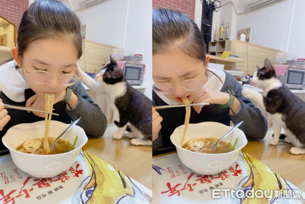 煩煩賓士貓。（圖／網友黃嘉嘉提供）