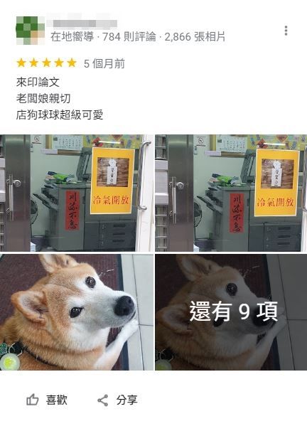 ▲明明是影印店！「胖胖柴柴照」淹沒Google Maps評論　熟客認出牠。（圖／翻攝自Google Maps）
