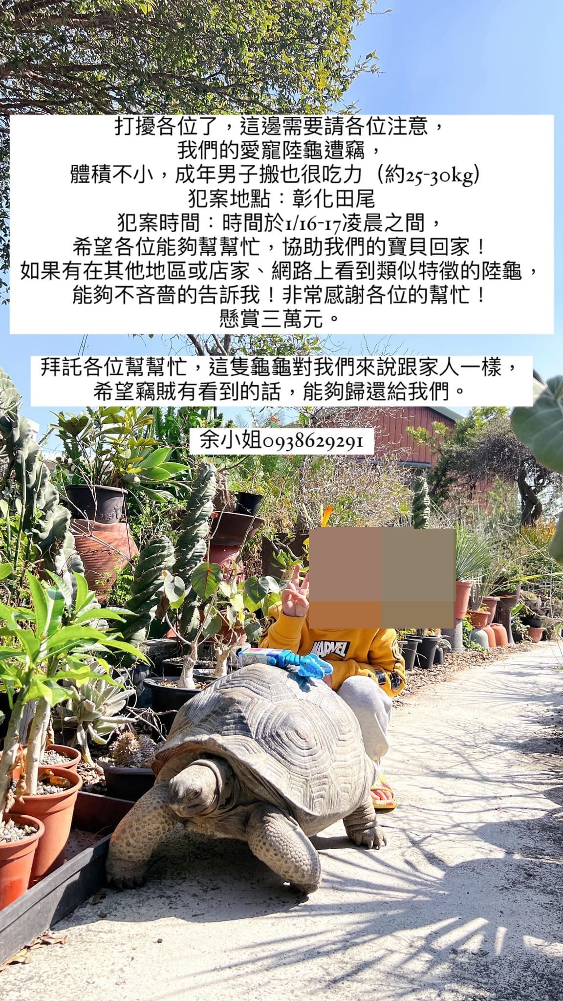 7461074 ▲破萬陸龜遭竊!重達30KG「成年男子搬也吃力」 飼主懸賞6萬急尋。(圖/飼主余小姐提供)