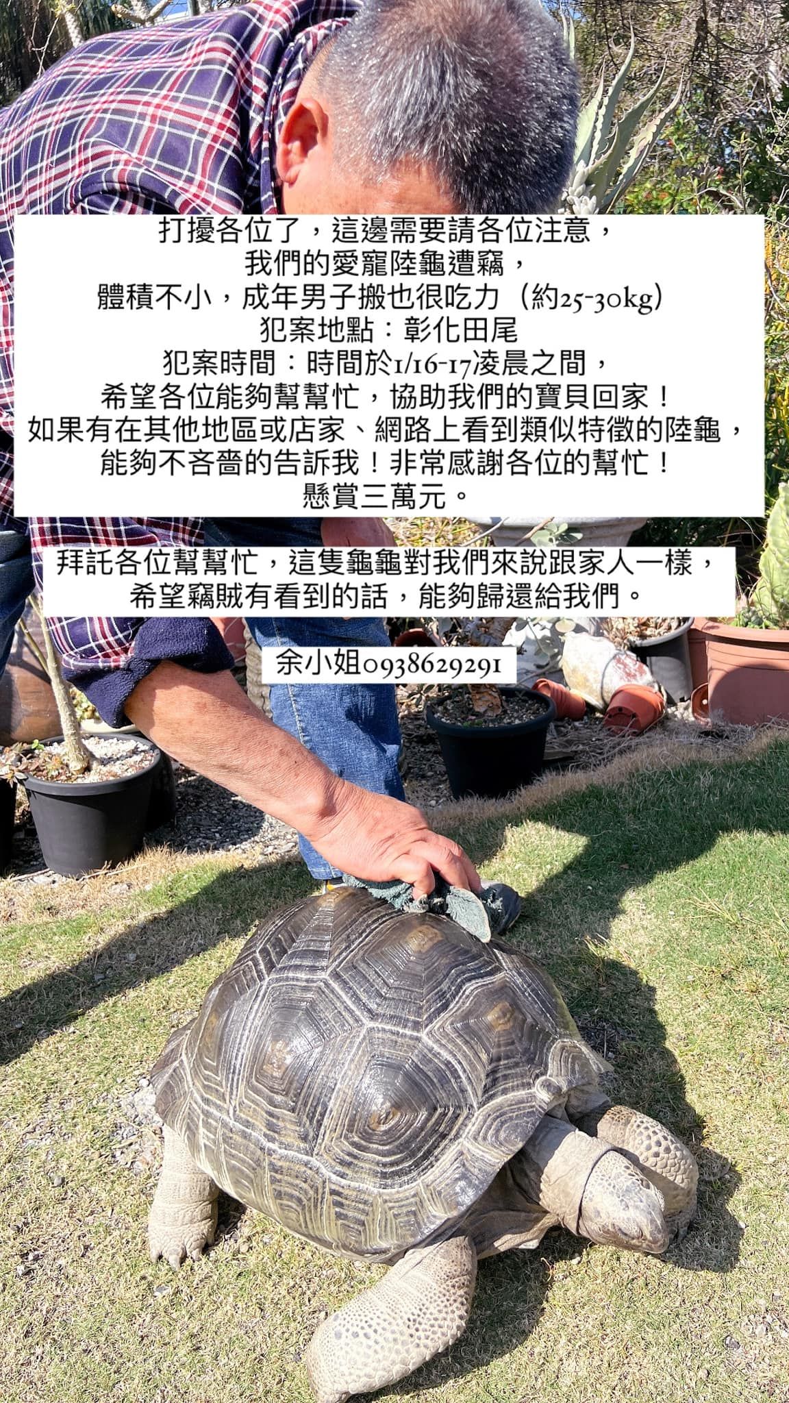 7461075 ▲破萬陸龜遭竊!重達30KG「成年男子搬也吃力」 飼主懸賞6萬急尋。(圖/飼主余小姐提供)