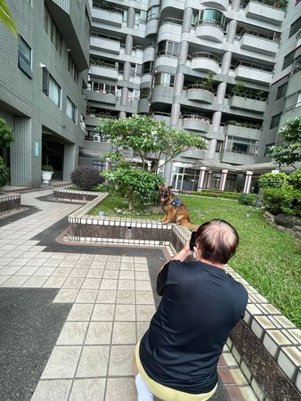 d5984315 ▲曾要求「把狗送人」媽轉性寵毛孫 半蹲幫拍網美照冷落親生兒。(圖/有點毛毛的/德牧Junono 的寵物友善探索頻道 Dogscovery提供)