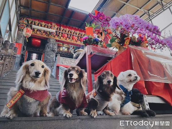 毛孩光明燈點燈儀式，陽光灑落感動信眾。（圖／台中復興宮提供）