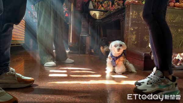 毛孩光明燈點燈儀式，陽光灑落感動信眾。（圖／台中復興宮提供）