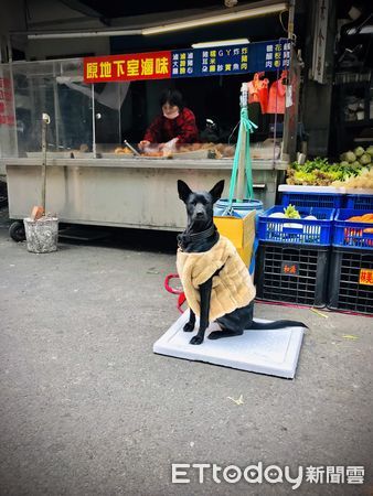 ▲▼天寒買菜巧遇「市場金孫」炫超厚背心　他心更冷了：穿得比我保暖。（圖／網友魯先生提供）