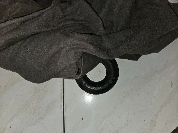 d7430963 捕蛇烏龍。(圖/翻攝自臉書粉專Illawarra Snake Catcher)