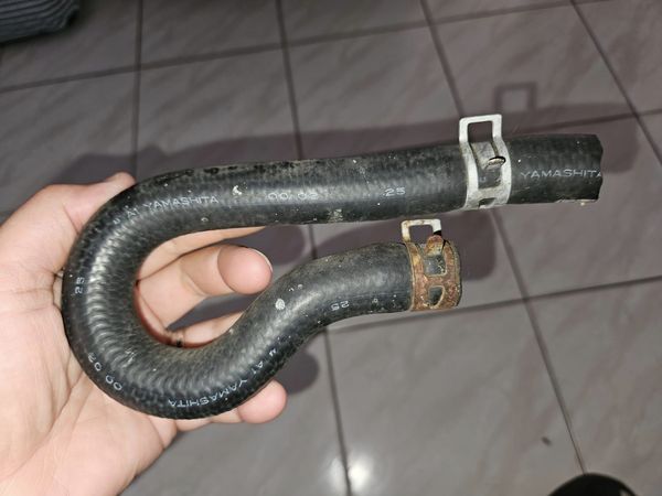 d7430964 捕蛇烏龍。(圖/翻攝自臉書粉專Illawarra Snake Catcher)