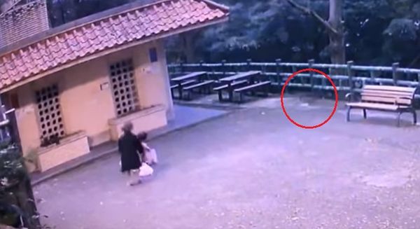 ▲▼最糟示範！爸爸帶小孩「拿水球丟貓」　樂看牠驚慌逃竄影片曝光。（圖／翻攝自新店好厝邊社團）
