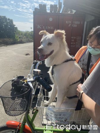 d7431892 ▲開心騎腳踏車「人狗回眸燦笑」表情神同步 媽秒融化:難怪是父子(圖/網友小德媽媽提供,請勿隨意翻拍,以免侵權。)