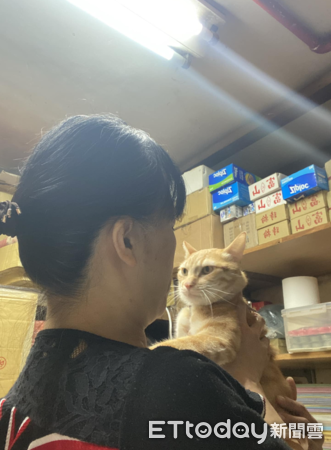 ▲橘貓生氣氣！肥嘟嘟臉「眼神怒瞪」　媽雙手捧起嘆：到底要氣多久（圖／網友蘇秀燕提供，請勿隨意翻拍，以免侵權。）